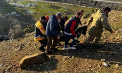 Şirvan’da Otomobil Uçuruma Düştü: 1 Kişi Hayatını Kaybetti