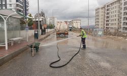 SİİRT BELEDİYESİ’NDEN CADDE VE KALDIRIMLARDA YOĞUN TEMİZLİK MESAİSİ!