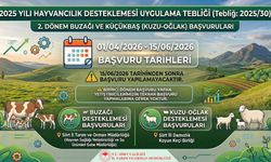 Siirt’te 2025 Yılı Hayvancılık Desteklemeleri İçin Başvurular Başlıyor