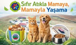 Siirt’te Gıda İsrafı Mamaya Dönüşüyor: Günde 200 Kg Üretiliyor