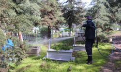 SİİRT’TE YEŞİL ALANLAR VE MEZARLIKLARDA BAHAR BAKIM ÇALIŞMALARI SÜRÜYOR