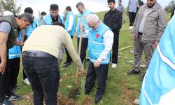 Siirt’te 10 Bin Fidanla Hatıra Ormanı Oluşturuldu