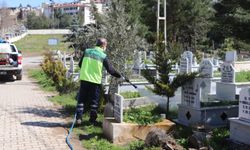 SİİRT’TE MEZARLIKLARDA BAHAR TEMİZLİĞİ BAŞLADI