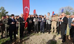 Kurtalan Teylan Köyü’nde Fidanlar Toprakla Buluştu