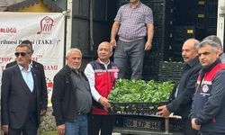 Siirt’te Sebzeciliğe Güçlü Destek: 60 Bini Aşkın Fide Üreticiyle Buluştu