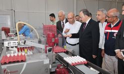 VALİ KIZILKAYA KURTALAN’DA TARIMSAL ÜRETİM VE YATIRIMLARI İNCELEDİ