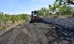 SİİRT'TE SIFIR ATIK HAREKETİNE KATKI: ESKİ ASFALT BAĞ YOLLARINDA DEĞERLENDİRİLİYOR