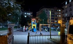 SİİRT'TE PARKLARIN AYDINLATMA SİSTEMLERİ YENİLENİYOR