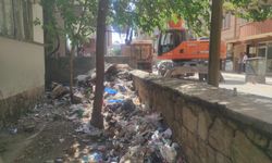 Siirt Belediyesi’nden Çöp Evde Temizlik ve İlaçlama Çalışması