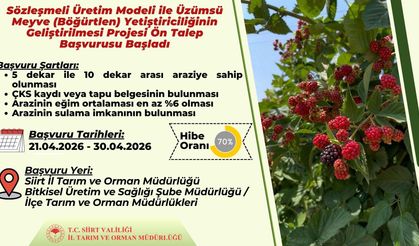 Siirt’te Sözleşmeli Böğürtlen Üretimi İçin Başvurular Başladı