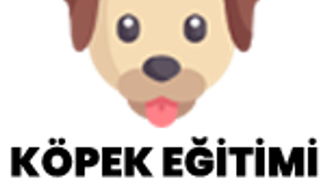 Köpek Eğitimi