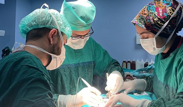 Diyarbakır’dan Mardin’e, Batman’dan Şırnak’a: Dr. Ömer Vural’a Yoğun İlgi