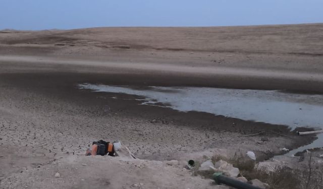 Kurtalan Çayırlı Köyü’nde Kuraklık Alarmı: Göldeki Balıklar Ölüm Tehlikesinde