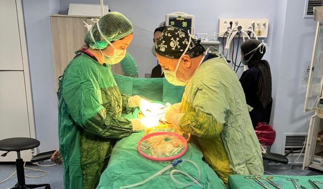 SİİRT’TE İLK KEZ “ALEXIS C-SECTION” TEKNİĞİ İLE SEZARYEN AMELİYATI GERÇEKLEŞTİRİLDİ