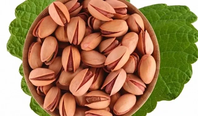 Siirt’te Fıstık Üreticilerinden İran Fıstığı Tepkisi