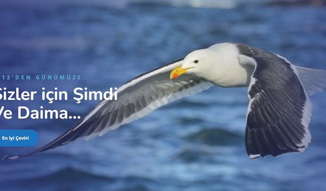 İngilizce Türkçe Çeviri Fiyatları 2026: Teknik, Hukuki ve Genel Metin Tarifesi