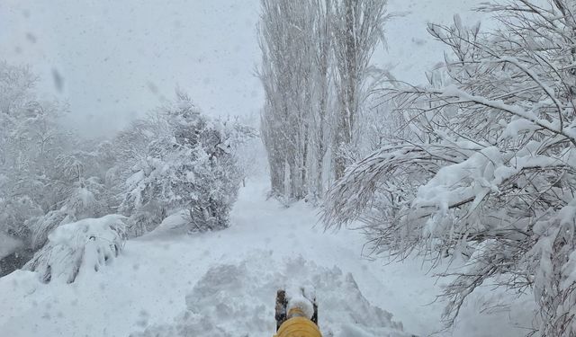 Siirt İl Özel İdaresi Karla Mücadele Ekipleri Köy Yollarını Ulaşıma Açtı