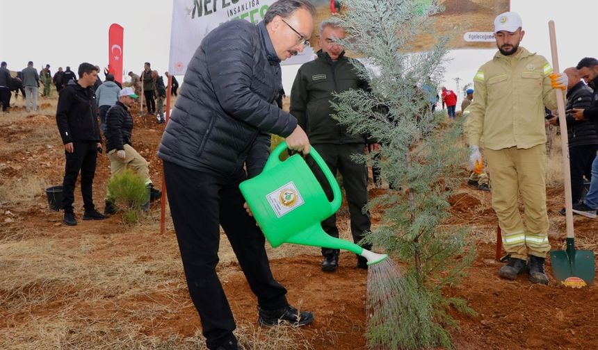 11 KASIM MİLLÎ AĞAÇLANDIRMA GÜNÜ – YEŞİL VATAN SEFERBERLİĞİ