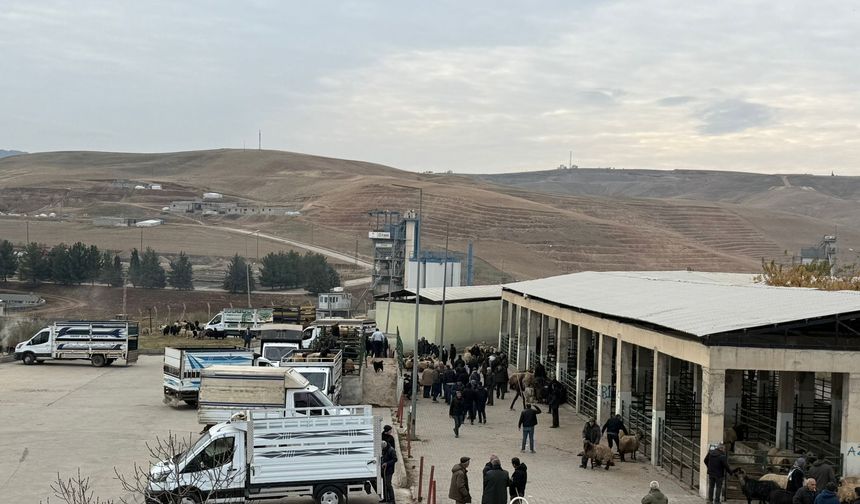 SİİRT HAYVAN PAZARI YENİDEN HİZMETE AÇILDI!