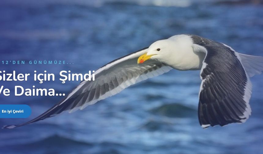 İngilizce Türkçe Çeviri Fiyatları 2026: Teknik, Hukuki ve Genel Metin Tarifesi