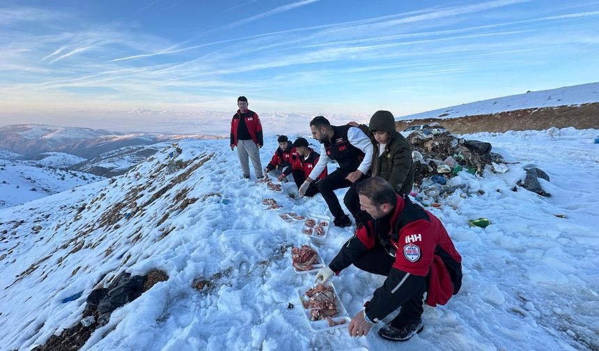Siirt İHH’dan Yaban Hayvanları İçin Doğaya Yem Desteği