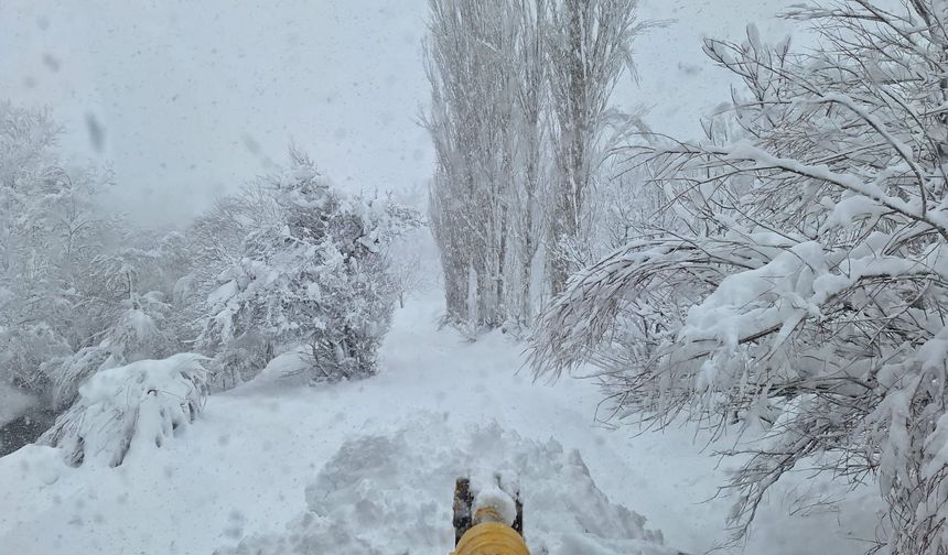 Siirt İl Özel İdaresi Karla Mücadele Ekipleri Köy Yollarını Ulaşıma Açtı