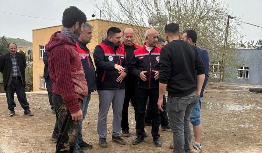 Siirt’te Yoğun Yağış: Tarımsal Hasar Tespit Çalışmaları Yapıldı
