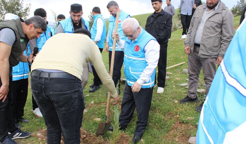 Siirt’te 10 Bin Fidanla Hatıra Ormanı Oluşturuldu