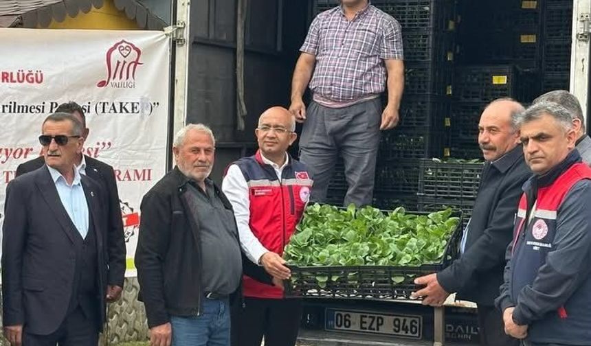 Siirt’te Sebzeciliğe Güçlü Destek: 60 Bini Aşkın Fide Üreticiyle Buluştu