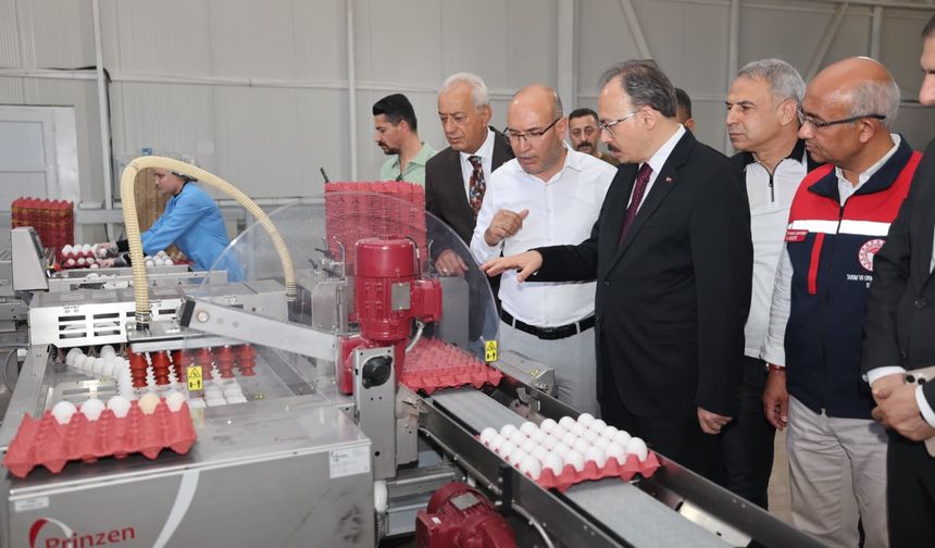 VALİ KIZILKAYA KURTALAN’DA TARIMSAL ÜRETİM VE YATIRIMLARI İNCELEDİ