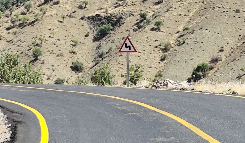 Şirvan’da Asfalt Seferberliği Tamamlandı: Trafik Levhaları da Yerleştirildi